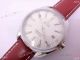 OMEGA Seamaster Brown Leather Strap Replica Watch (5)_th.jpg